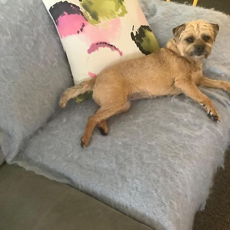 Petite Provence Cottage Blairgowrie Zewnętrze zdjęcie